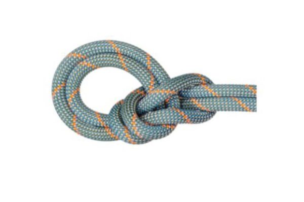 Mammut 9.9 Crag Workhorse Classic Rope