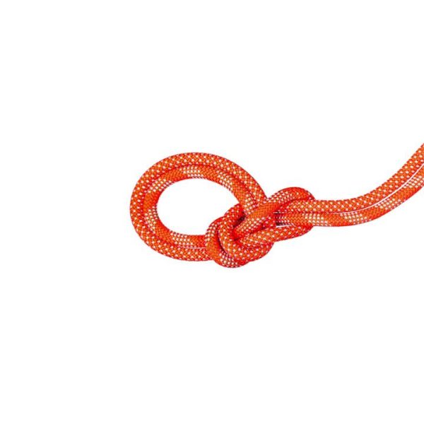 Mammut 9.8 Crag Classic Rope