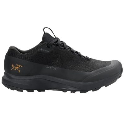 Arcteryx Aerios FL 2 GTX Womens Hiking Shoes