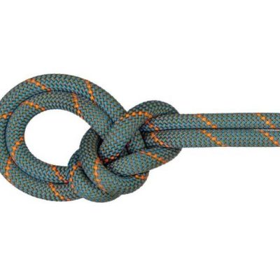 Mammut 9.9 Crag Workhorse Dry Rope