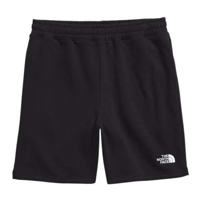 The North Face Evolution Mens Everyday Shorts