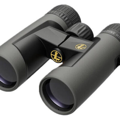 Leupold Bx-2 Alpine Hd 10x42 Roof Shadow Grey Binocular - Waterproof #le181177