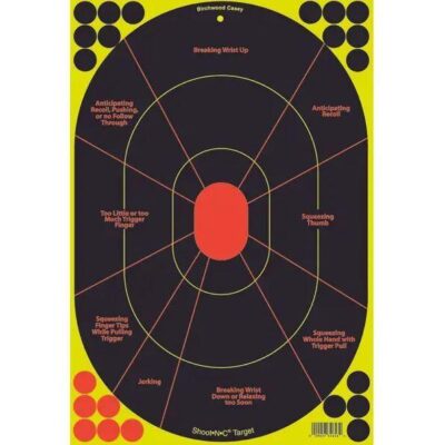 Birchwood Casey Shoot N C 3-handgun Trainer & 2-bad Guy Silhouette Target - 5 Pack 12 X 18 Inch #bc-34630