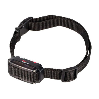 Dgp Dogtrace D-mute One Rechargeable Anti-bark Collar 2072 Cm Dmu-c-one-11-x4