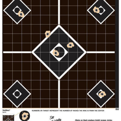 Champion Hunting Shooting Target Technology Visishot Sight In Multiple Bullseyes - 10 Pack Black #ch45804