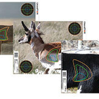 Champion Hunting Shooting New Target Visicolor Real Life Big Game - 12 Targets Per Package Multi-colored #ch45829