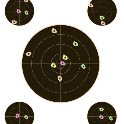 Champion Hunting Shooting High Visibility Target Visicolor Sight In  - 8 Inch 10 Pack Black #ch45827